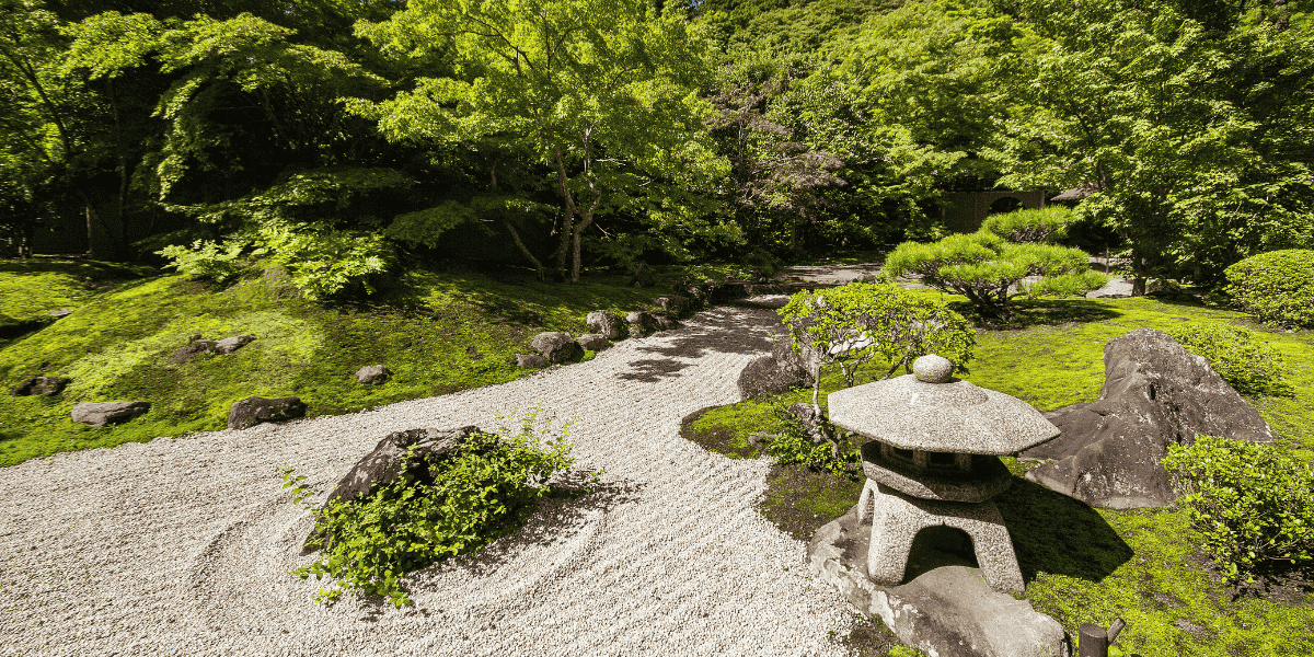 Misja i wartości Szkoły Zen Reiki w Polsce