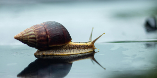 Zmęczenie duszy – kiedy nie chce się już szukać, a coś w nas nadal woła